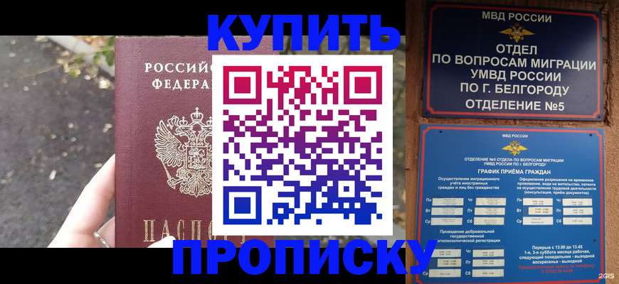 временная регистрация госуслуги в Звенигово